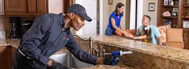 Best Pest Control for Multi-Family Homes  in Buena Vista, CO